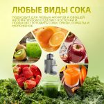 Соковыжималка OLM-YZA005