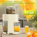 Соковыжималка OLM-YZA005