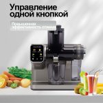Соковыжималка OLM-YZA010